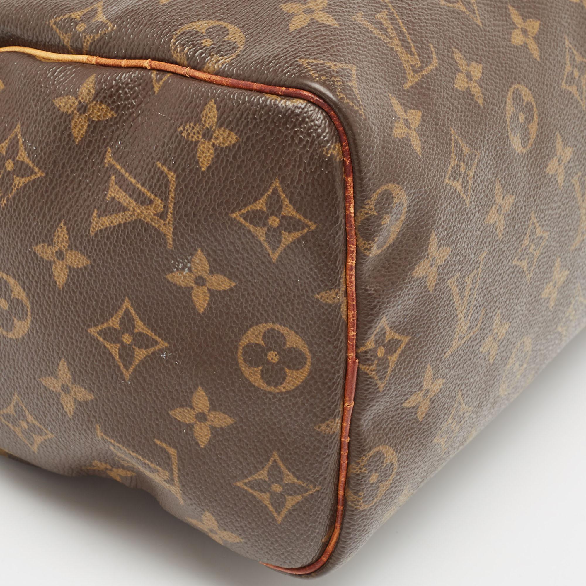 Louis Vuitton Monogrammierte Speedy 25 Tasche aus Segeltuch im Angebot 1