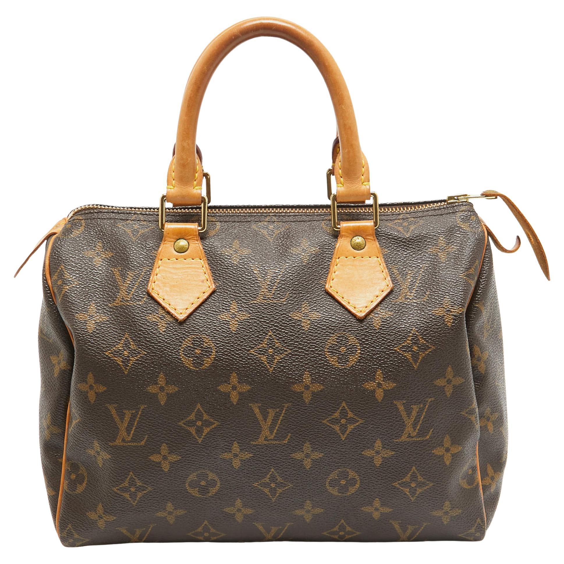 Louis Vuitton Monogrammierte Speedy 25 Tasche aus Segeltuch im Angebot