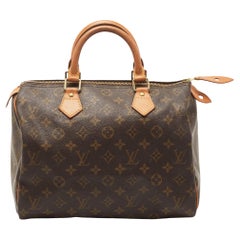 Louis Vuitton Monogram Canvas Speedy 30 Bag