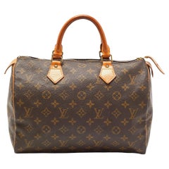 Louis Vuitton 2010s Rare Celty Fragonard Speedy 30 Handbag · INTO