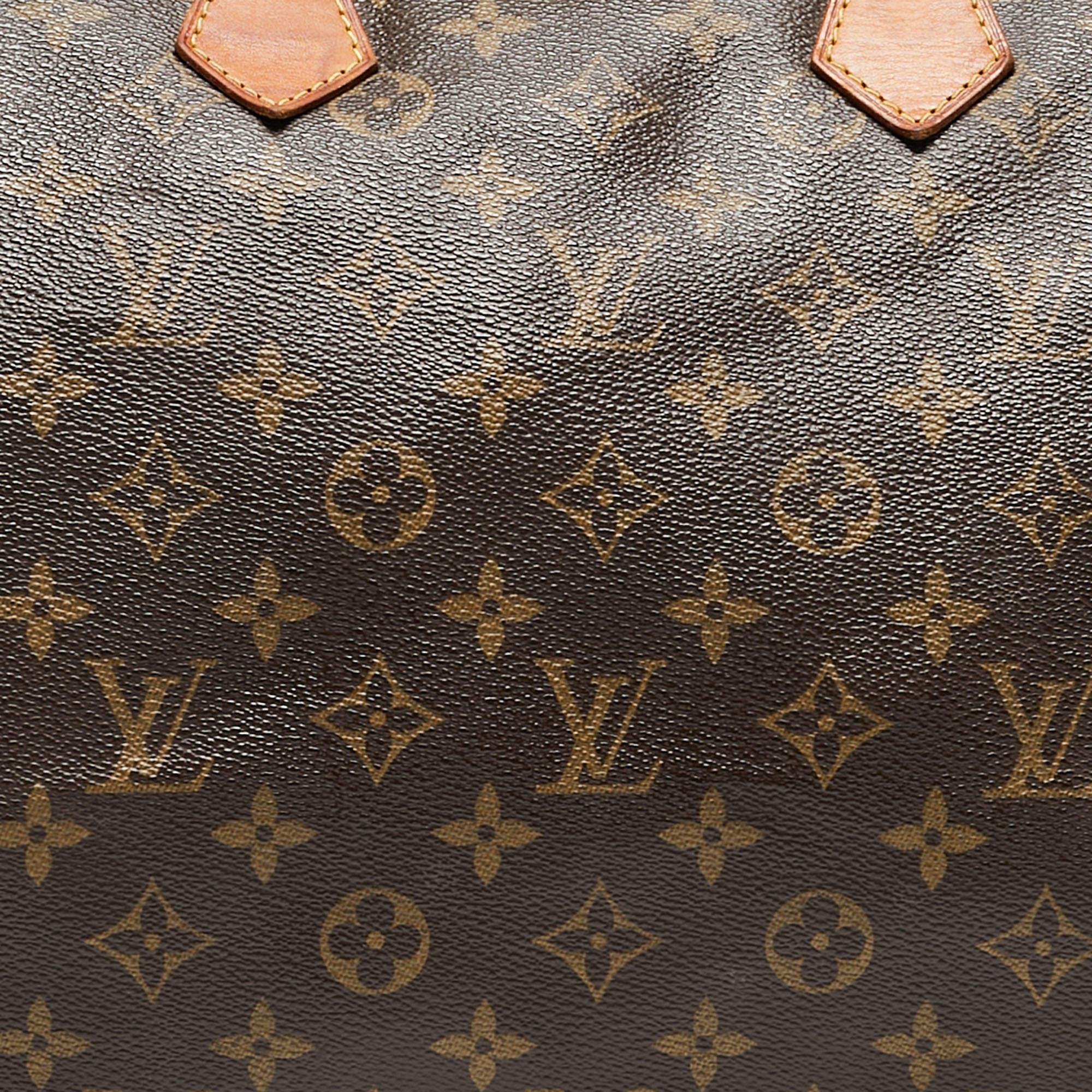 Louis Vuitton Monogram Canvas Speedy 40 Bag 11