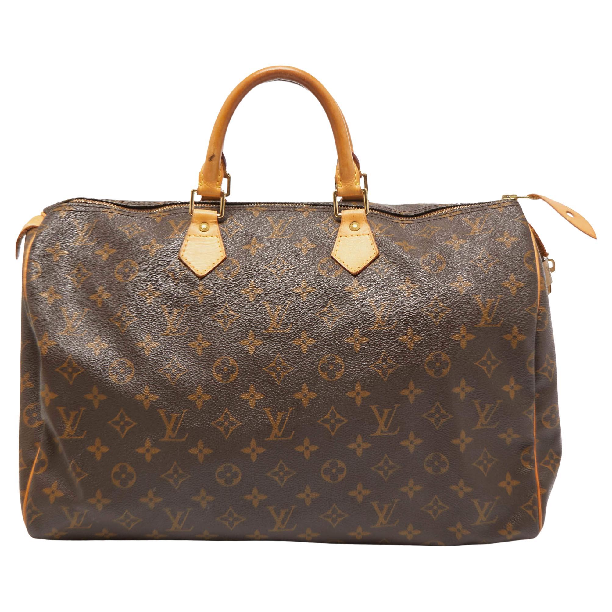Louis Vuitton Hand Painted Epi Speedy Bag For Sale at 1stDibs