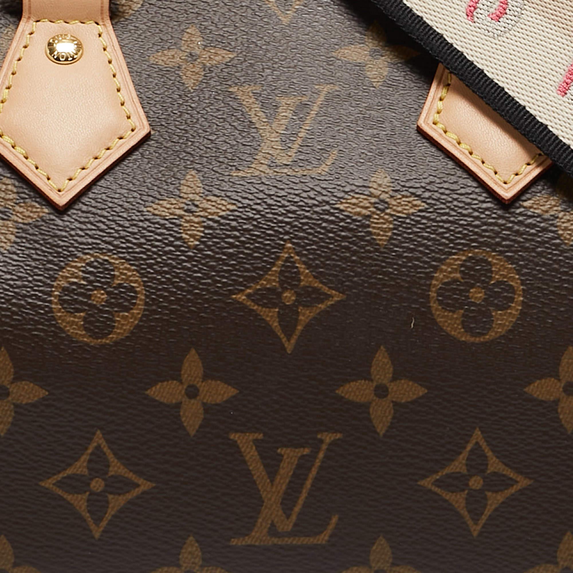 Louis Vuitton Monogram Canvas Speedy Bandouliere 20 Bag 6