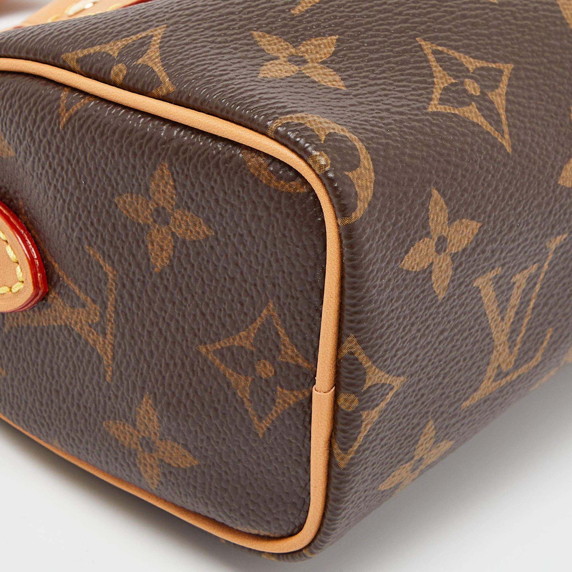 Louis Vuitton Monogram Canvas Speedy Nano Bag 3