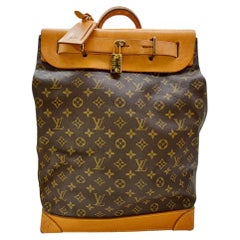 Louis Vuitton Monogram Canvas Steamer 45 Bag