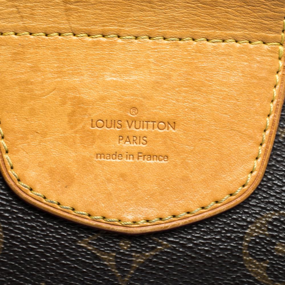 Louis Vuitton Monogram Canvas Stresa PM Bag 4
