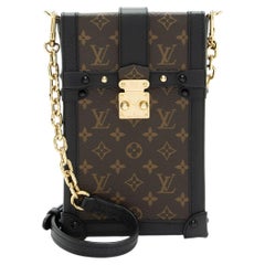 Louis Vuitton Monogram Canvas Vertical Trunk Pochette