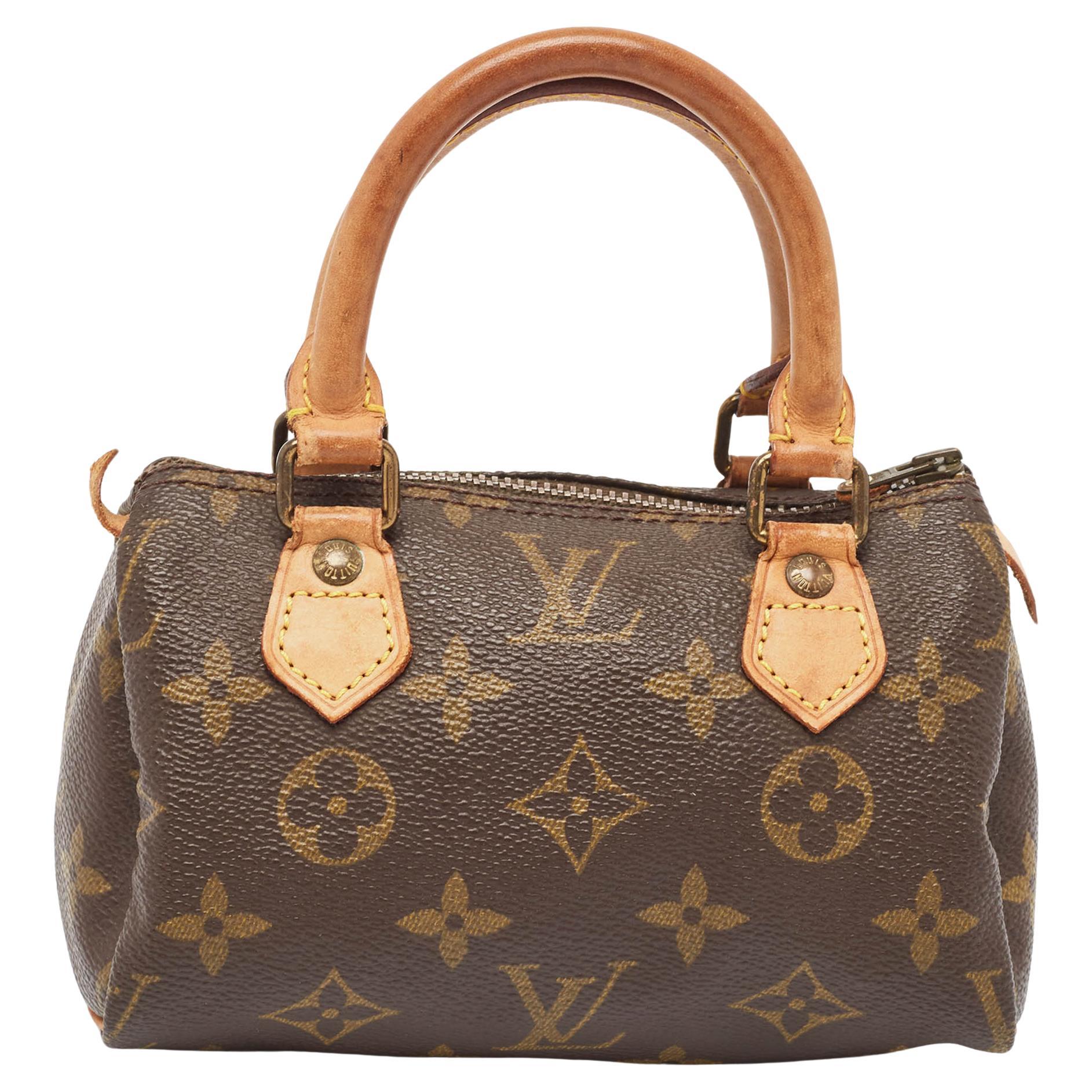 What is a Speedy Louis Vuitton bag?