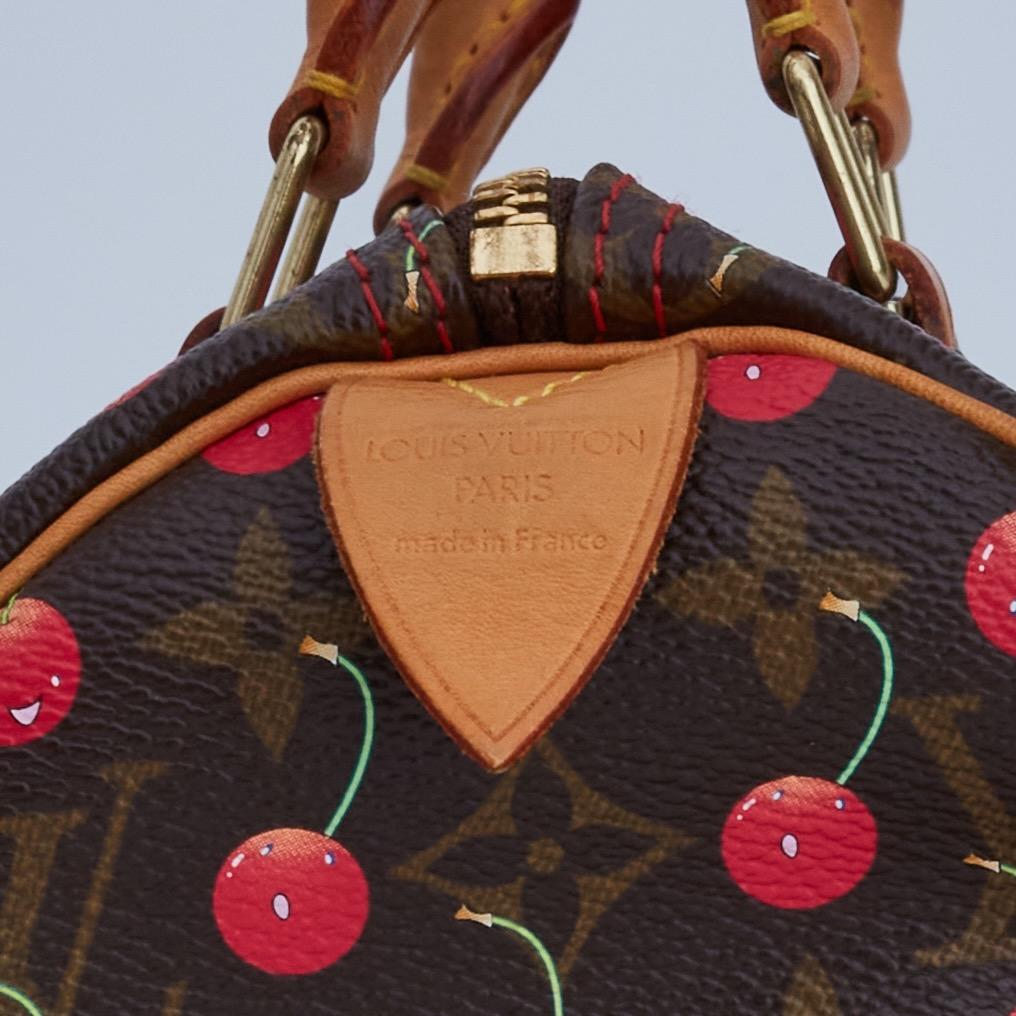 louis vuitton cherry speedy