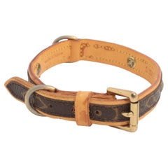 Louis Vuitton Monogram Collar Baxter PM