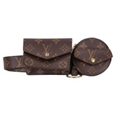 Louis Vuitton Monogram Daily Multi Pocket Belt Bag