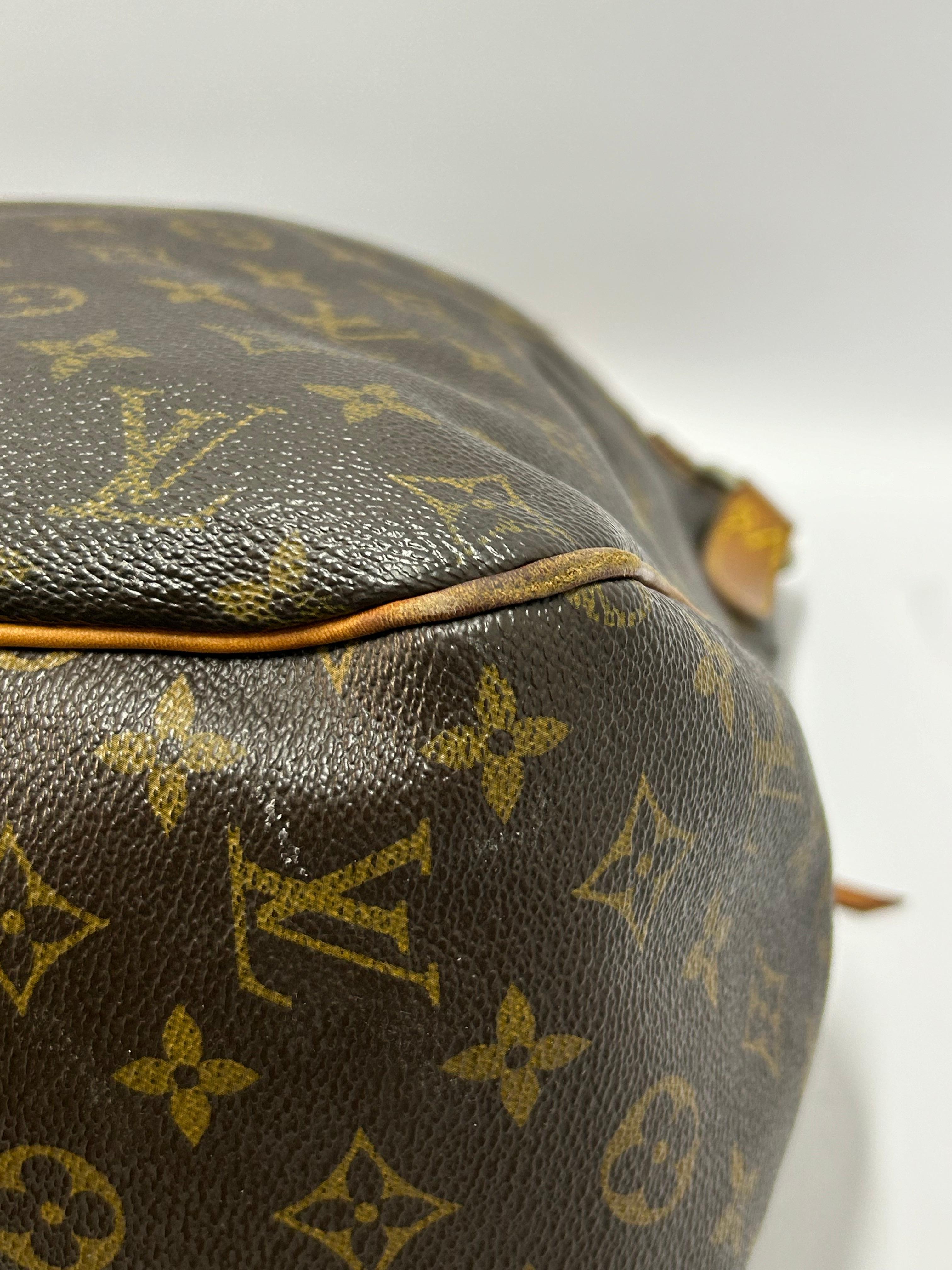 Louis Vuitton Monogram Delightful GM Bag For Sale 13