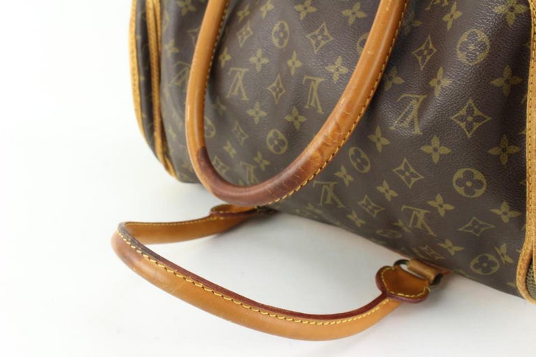 Louis Vuitton Dog Carrier 40 - 5 For Sale on 1stDibs  louis vuitton cat  carrier, louis vuitton carrier bag