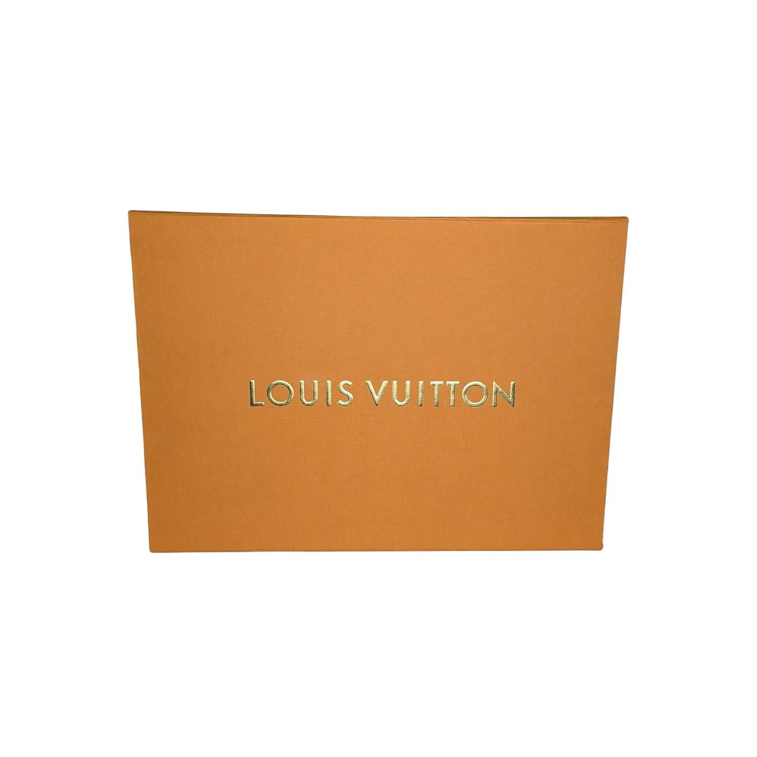 Louis Vuitton Monogram Embossed Lambskin Leather Coussin PM 4
