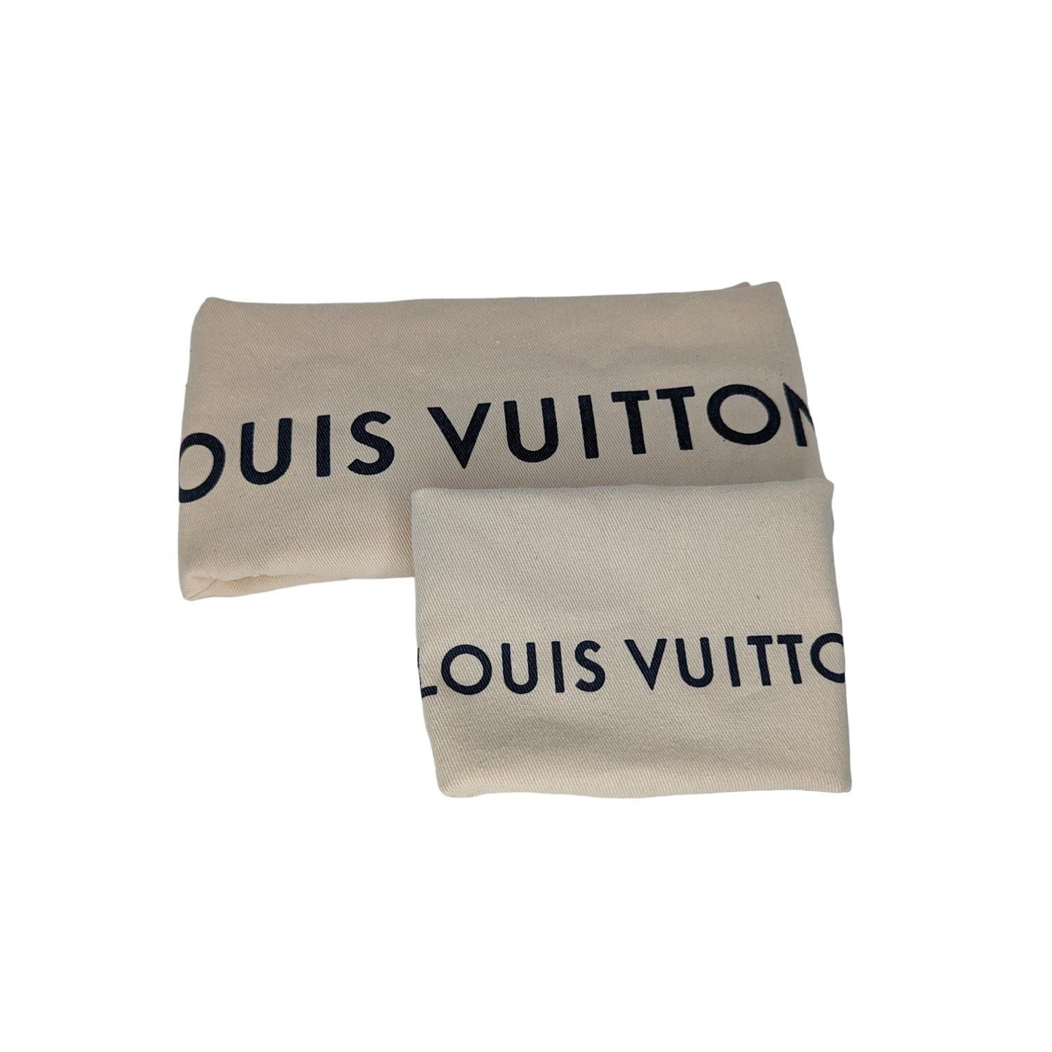 Louis Vuitton Monogram Empreinte Leather CarryAll PM Hobo 6