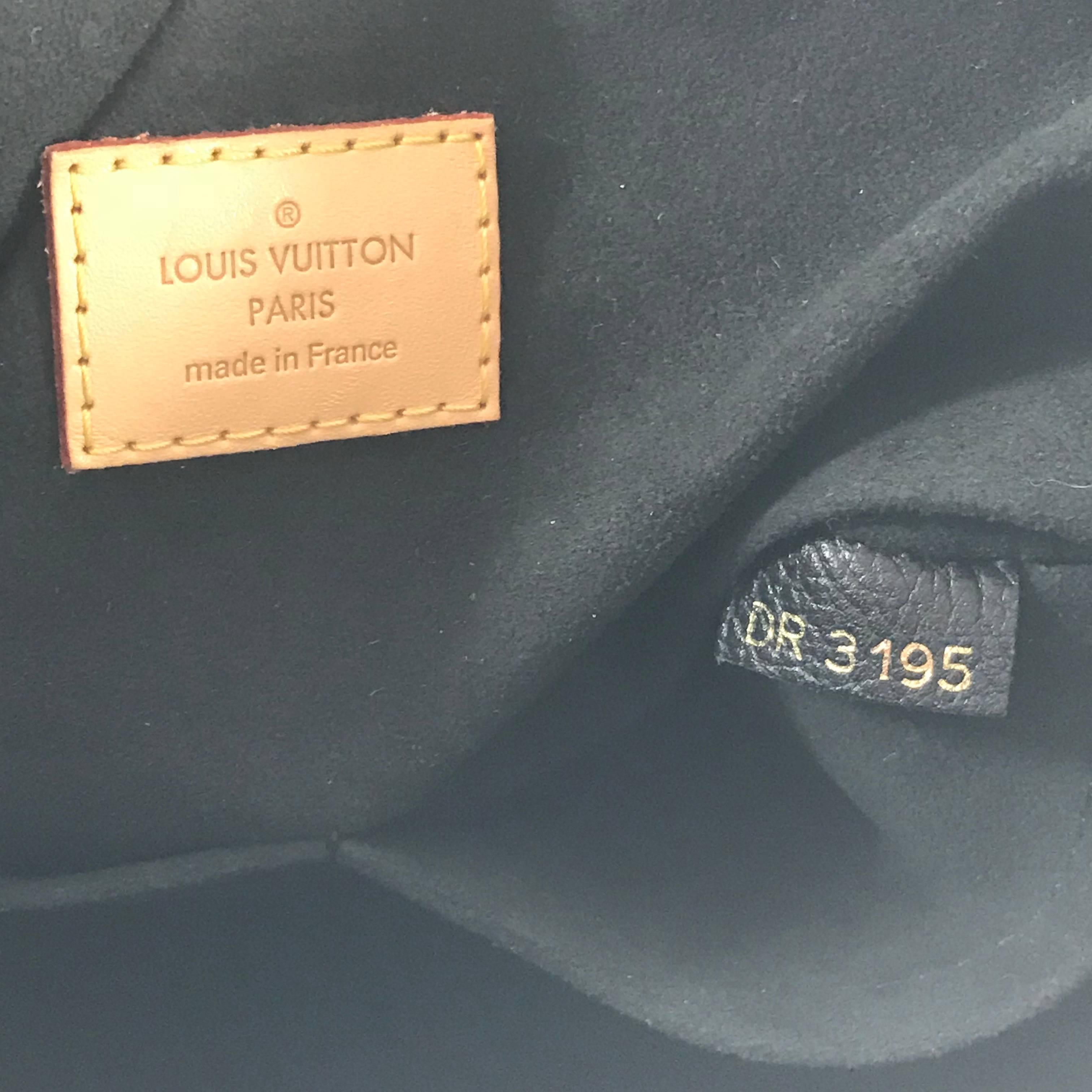 Louis Vuitton Monogram Gaia Hobo Bag 5