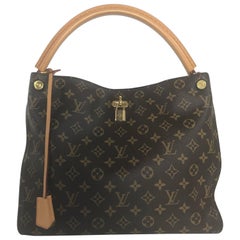 Louis Vuitton Monogram Gaia Hobo Bag