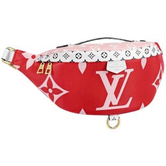 Louis Vuitton Monogram Giant Bum Bag Red Pink White Black