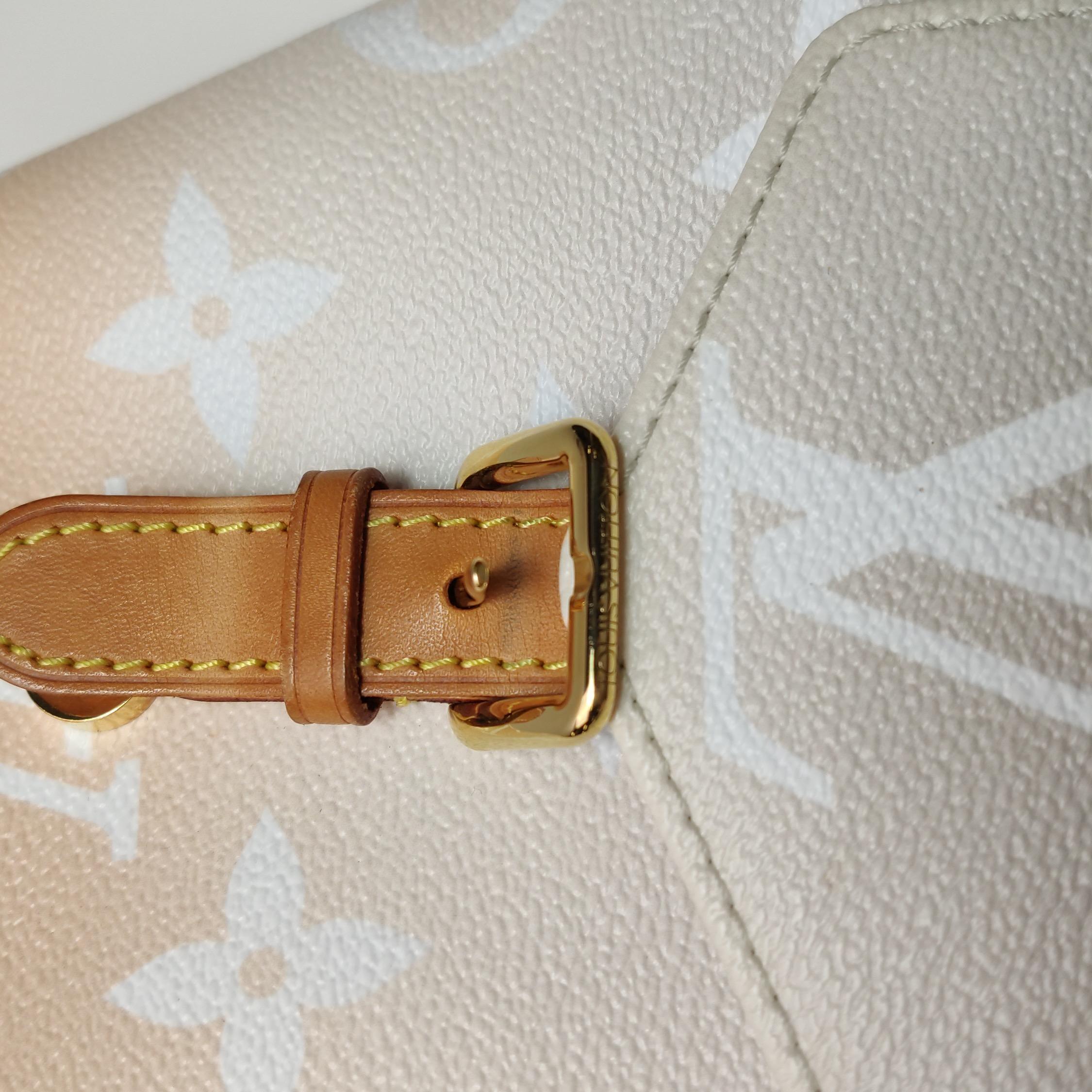 Louis Vuitton Monogram Giant By The Pool Tiny Backpack For Sale 6