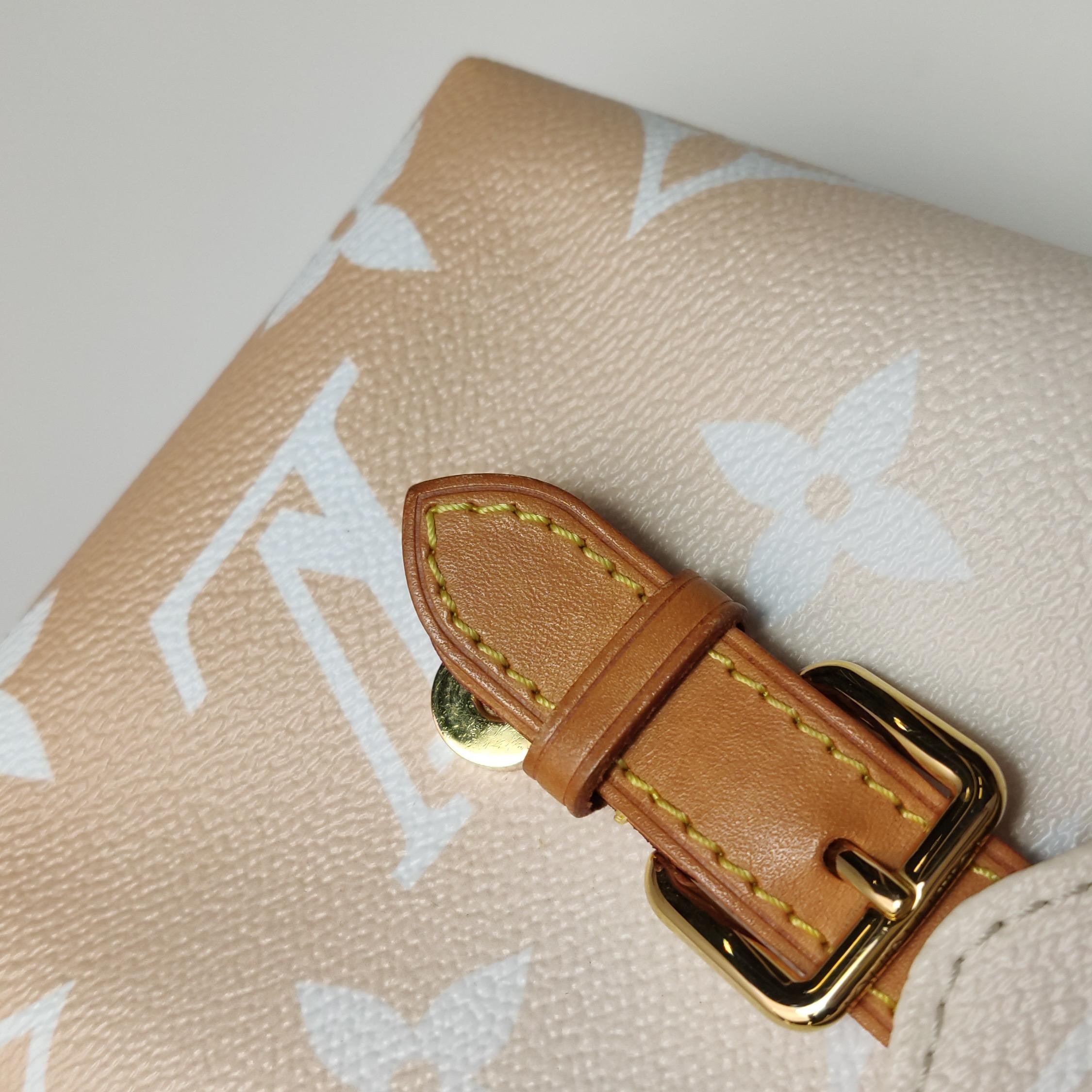 Louis Vuitton Monogram Giant By The Pool Tiny Backpack For Sale 9
