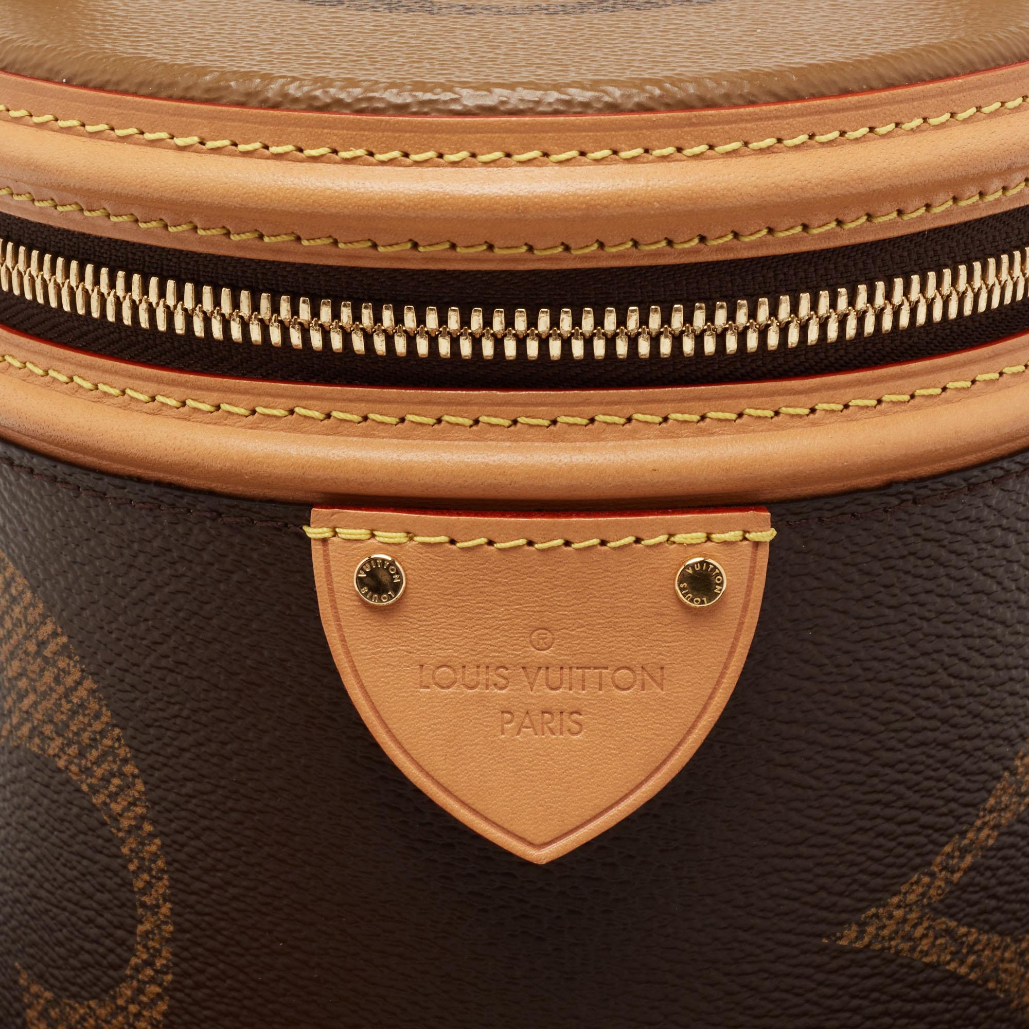 louis vuitton bag with scarf handle