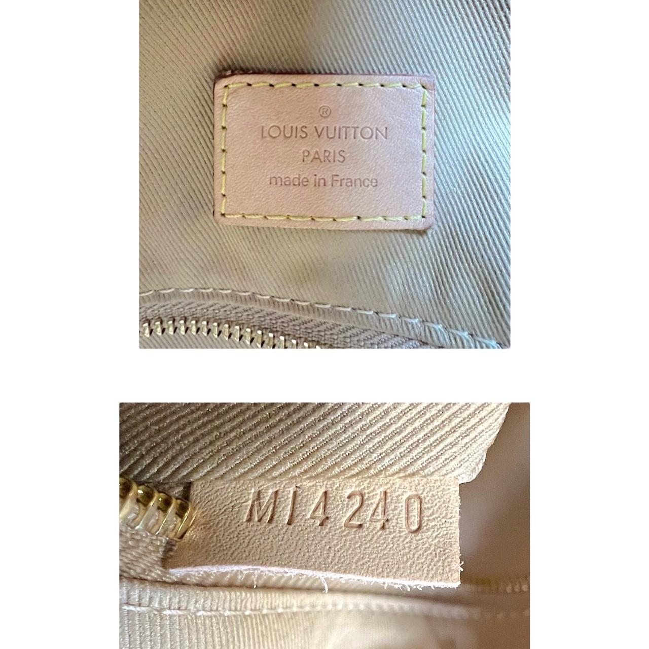 Louis Vuitton Monogram Graceful PM Hobo 3