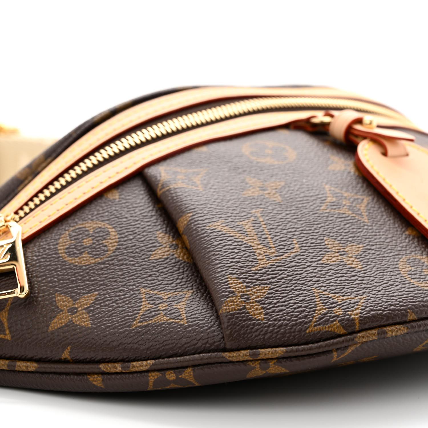 Louis Vuitton Monogram High Rise Bumbag For Sale 1