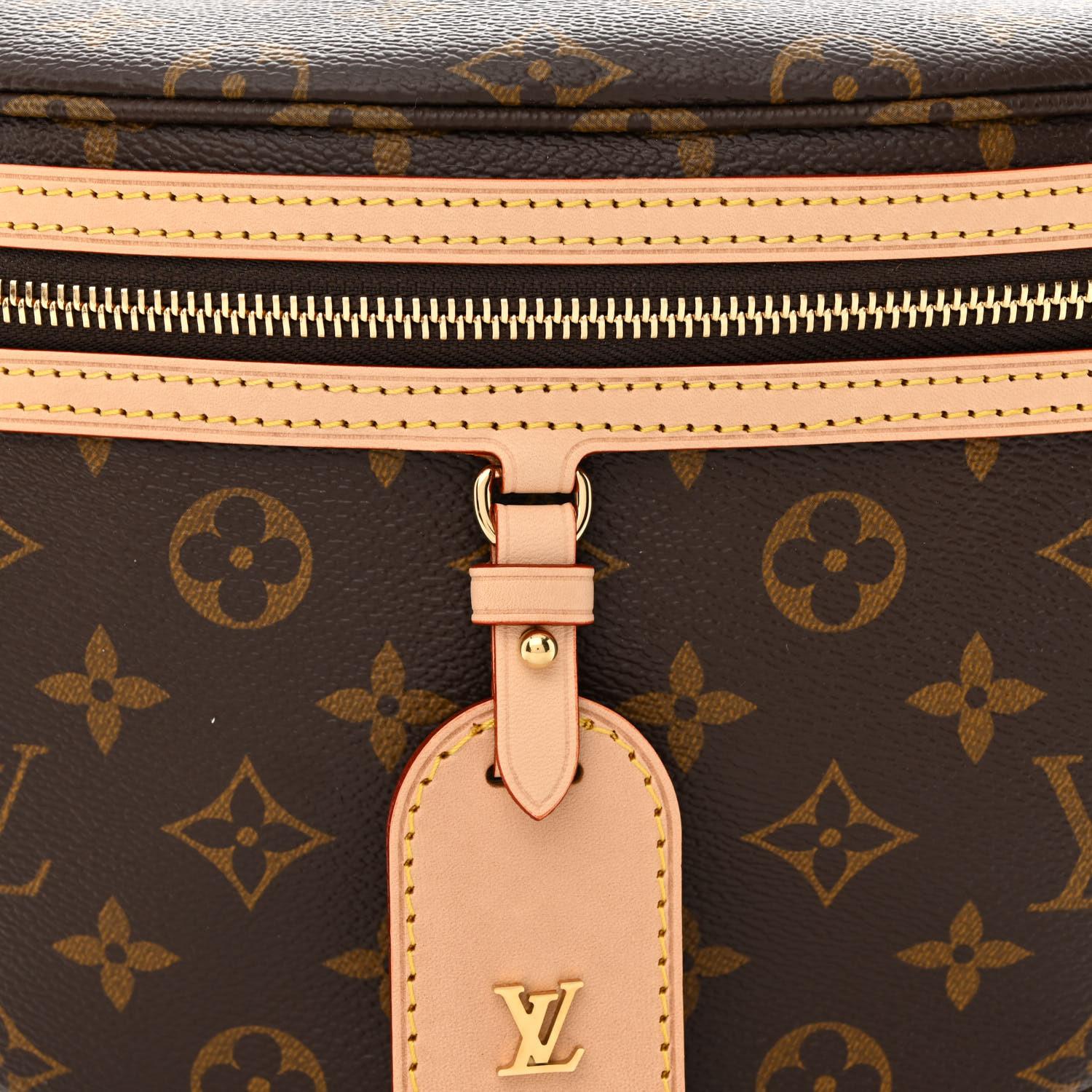 Louis Vuitton Monogram High Rise Bumbag For Sale 4