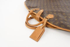 Louis Vuitton Monogram Housse Porte Habits Garment Cover Travel Bag 22LV719
