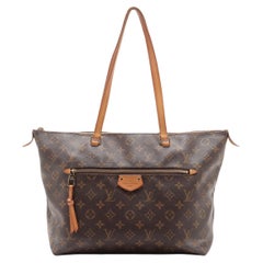 Louis Vuitton Monogram Iéna MM