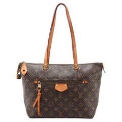 Louis Vuitton Monogram Iéna PM