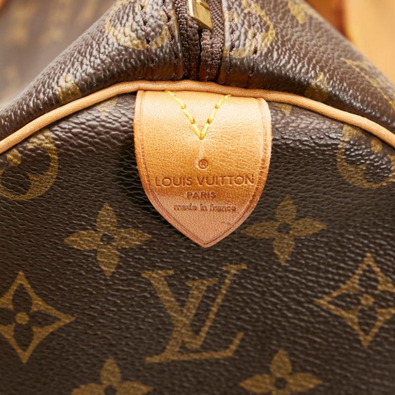 Louis Vuitton Monogram Keepall 50 Travel Bag 2