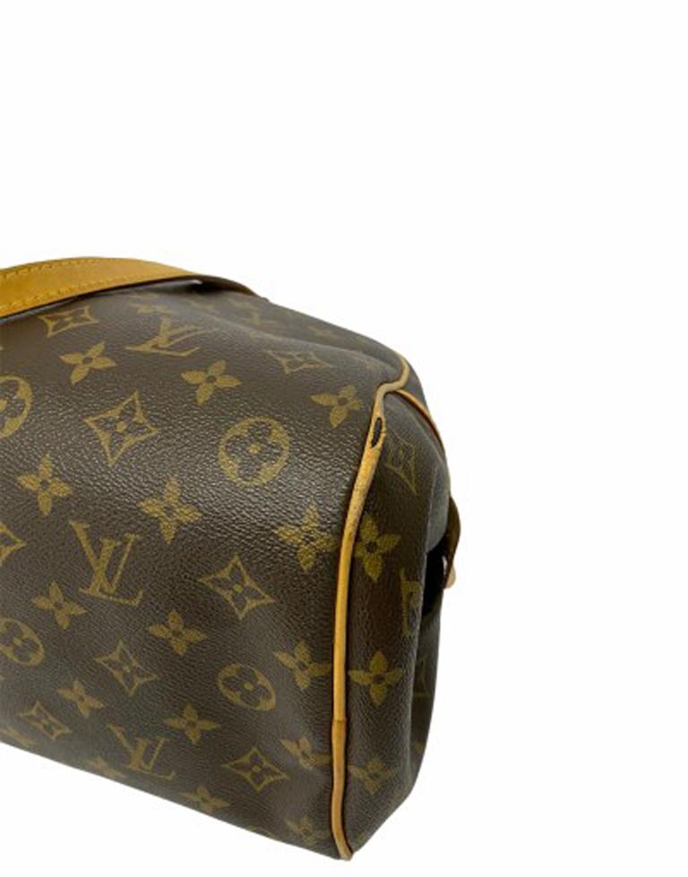 Women's Louis Vuitton Monogram  Leather Montorgueil Mm Bag 