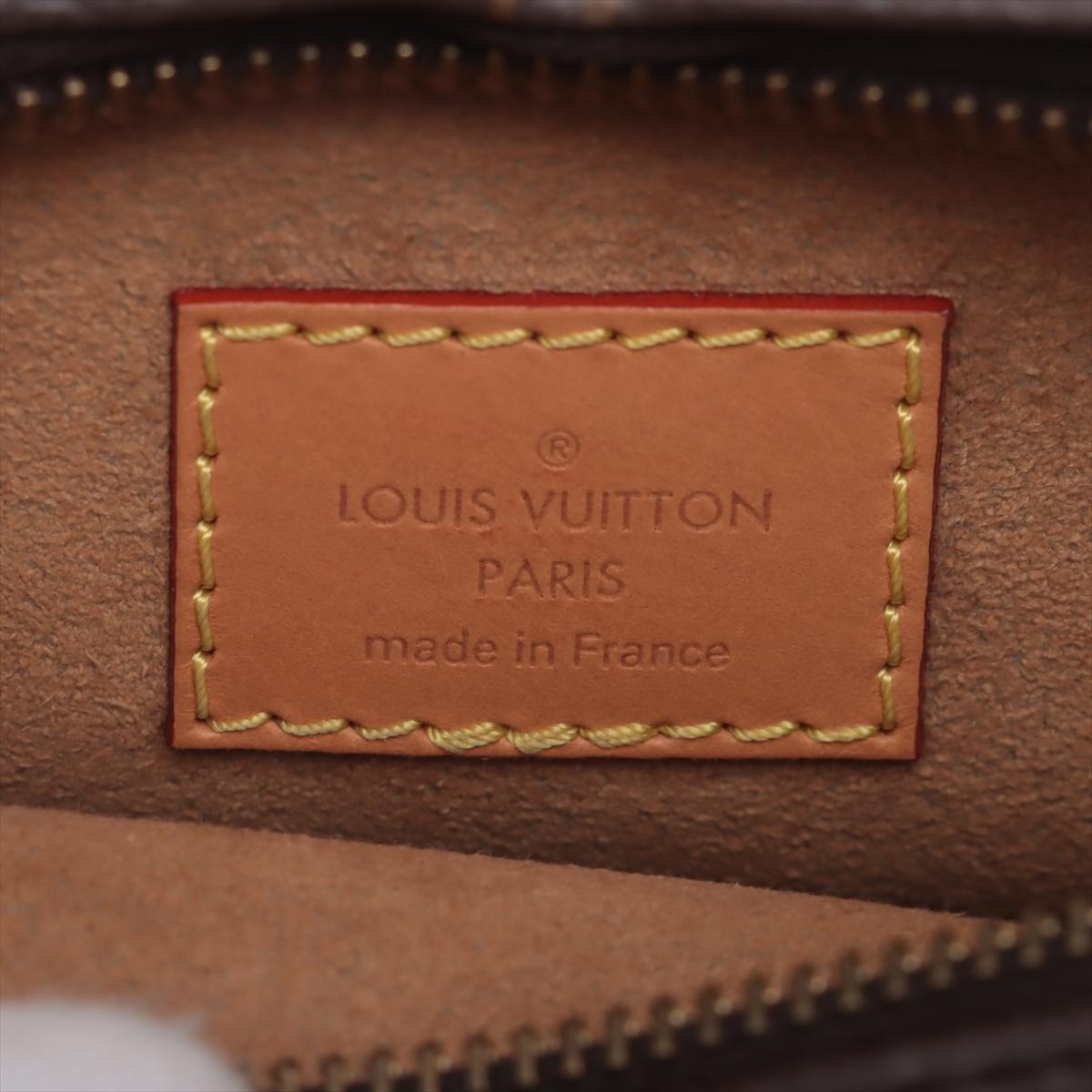 Louis Vuitton Monogram Loop Shoulder Bag 5
