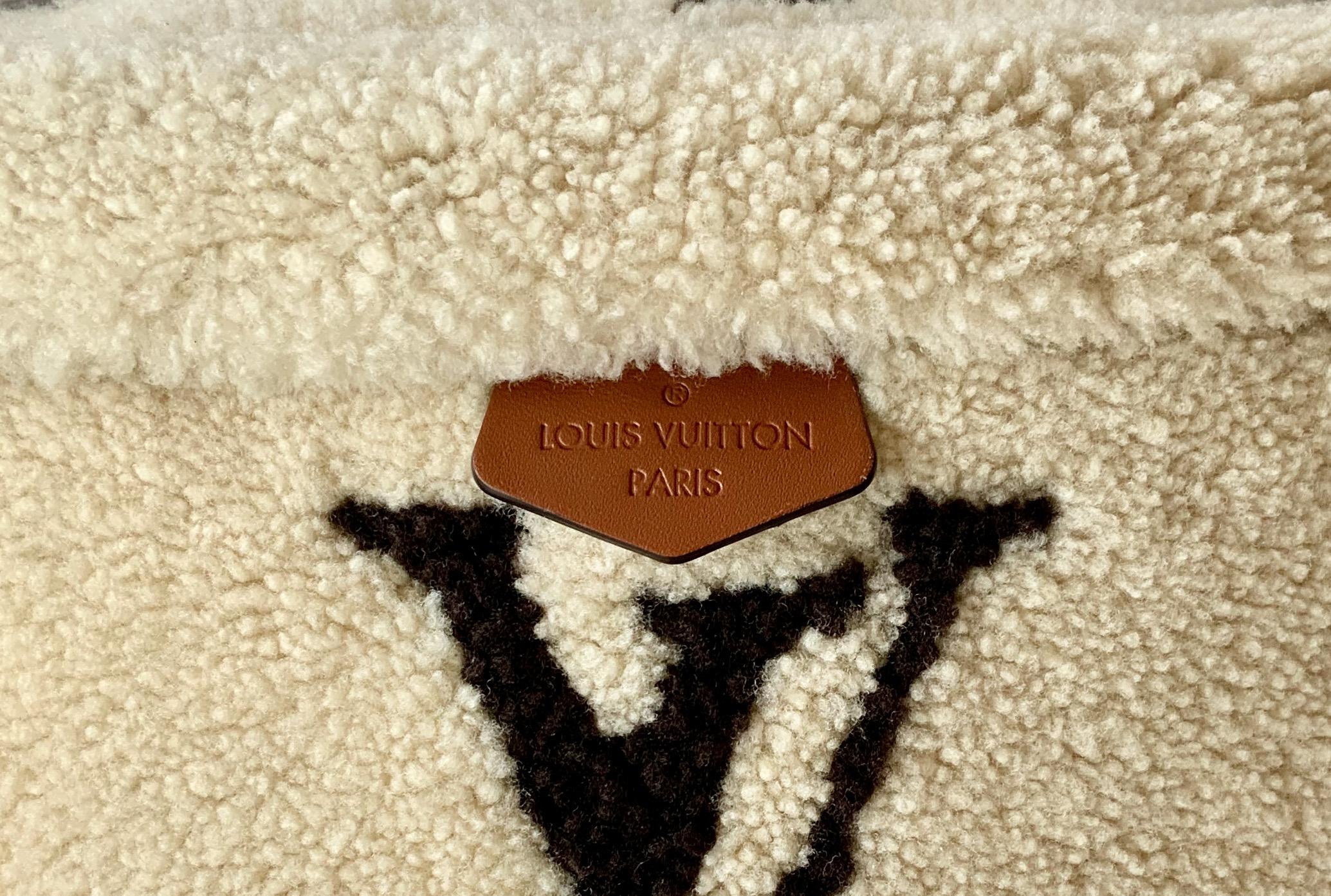 Louis Vuitton Monogram LV Teddy Limitierte Auflage Gürteltasche 5