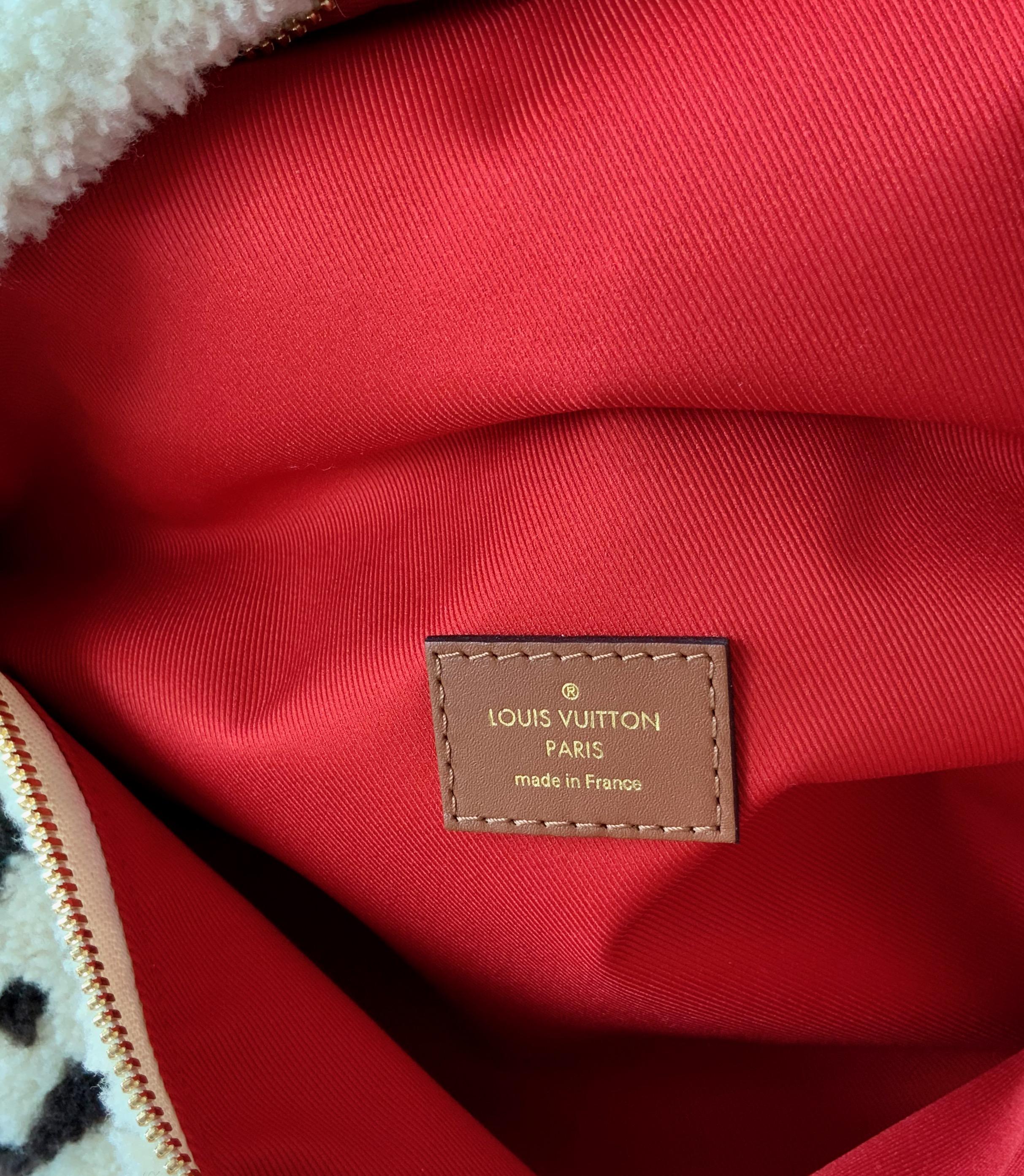 Louis Vuitton Monogram LV Teddy Limitierte Auflage Gürteltasche 8