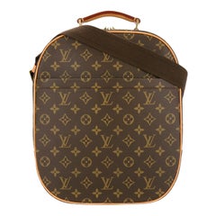 Louis vuitton backpack  Handbags, Purses & Women's Bags for Sale