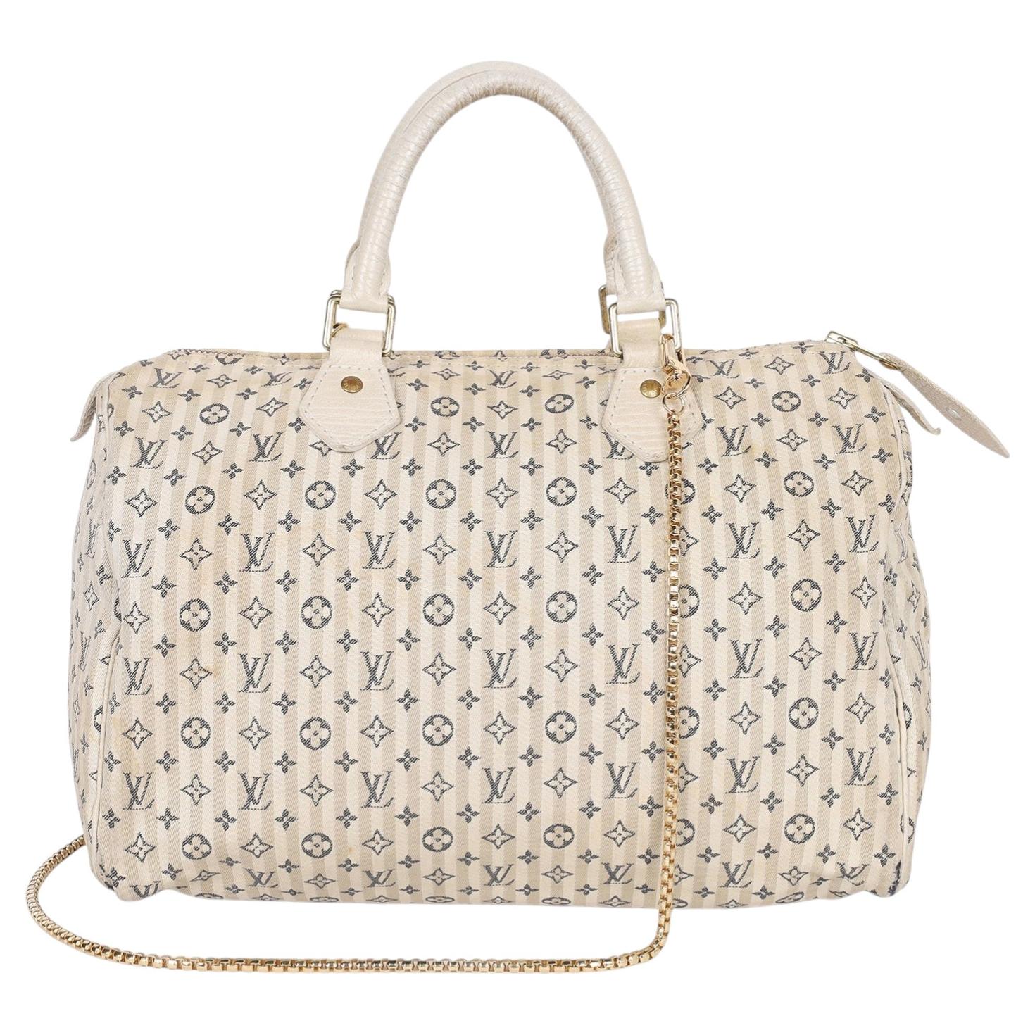 What is a Speedy Louis Vuitton bag?