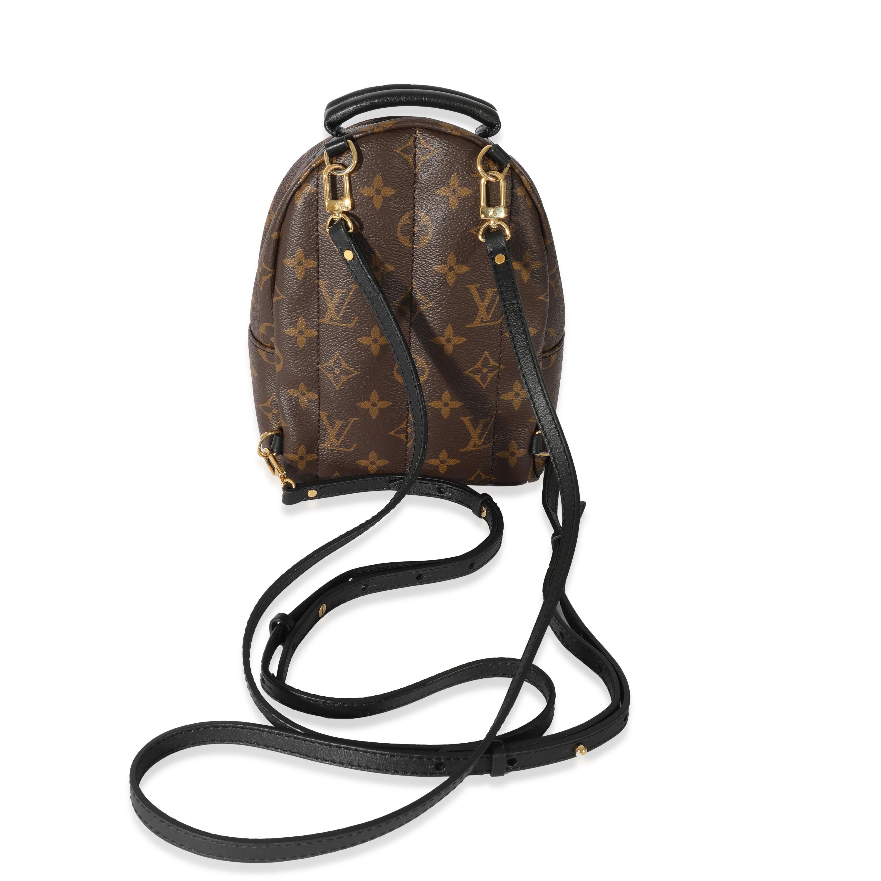 louis vuitton monogram palm springs backpack mini stores