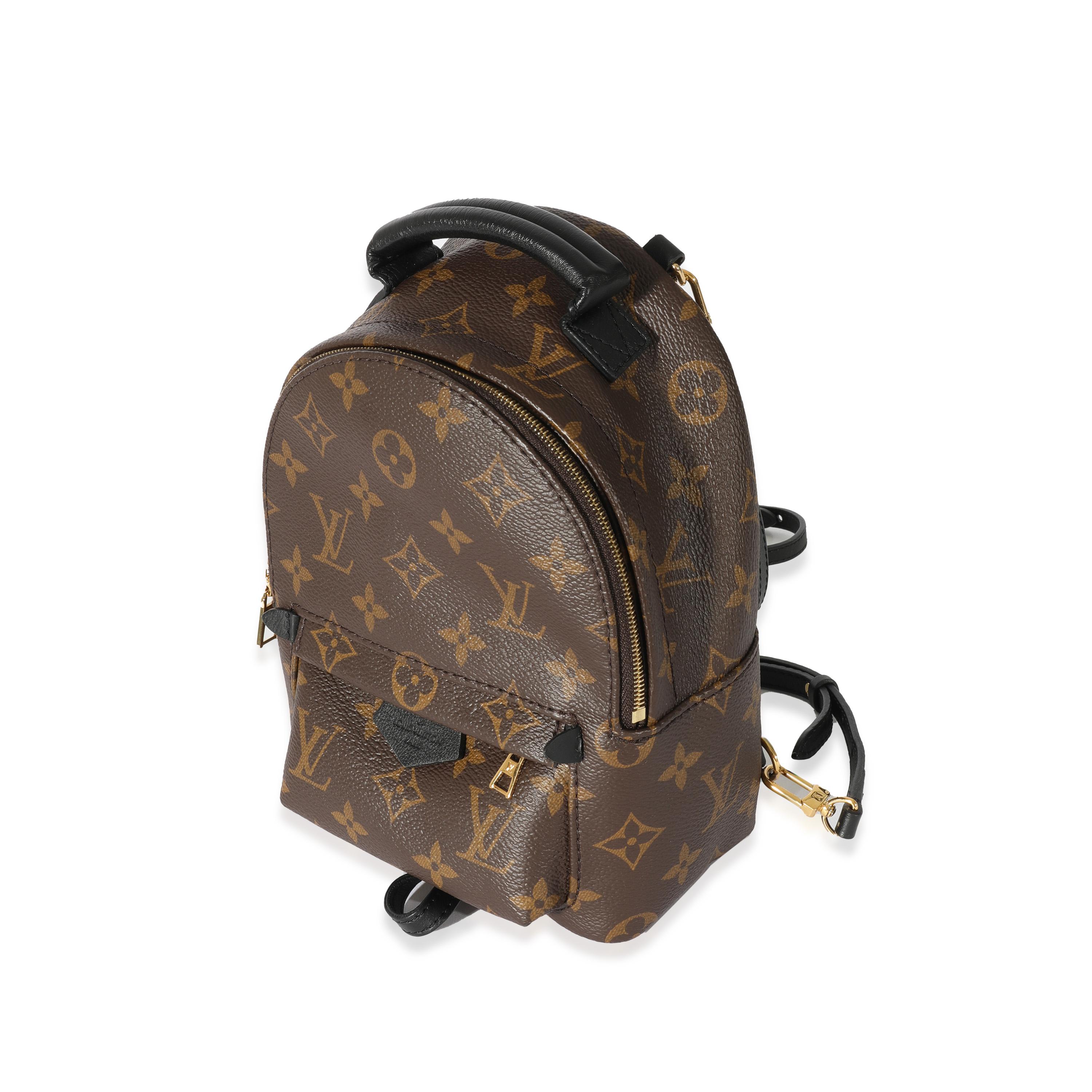 louis vuitton backpack purse