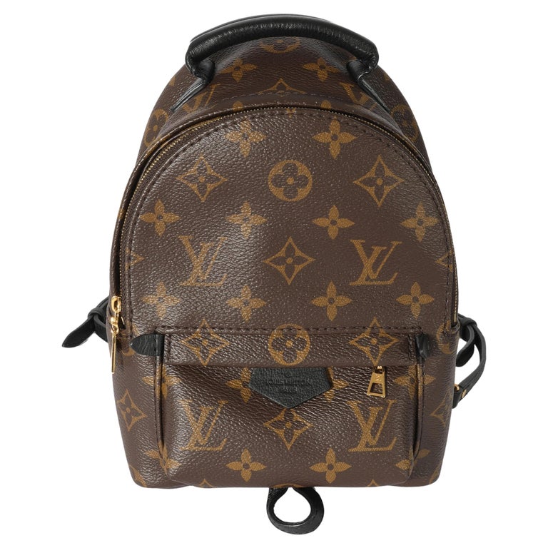 Louis Vuitton Monogram Mini Palm Spring Backpack For Sale at 1stDibs  louis  vuitton monogram palm springs backpack mini stores, louis vuitton backpack  purse, louis vuitton mini backpack price