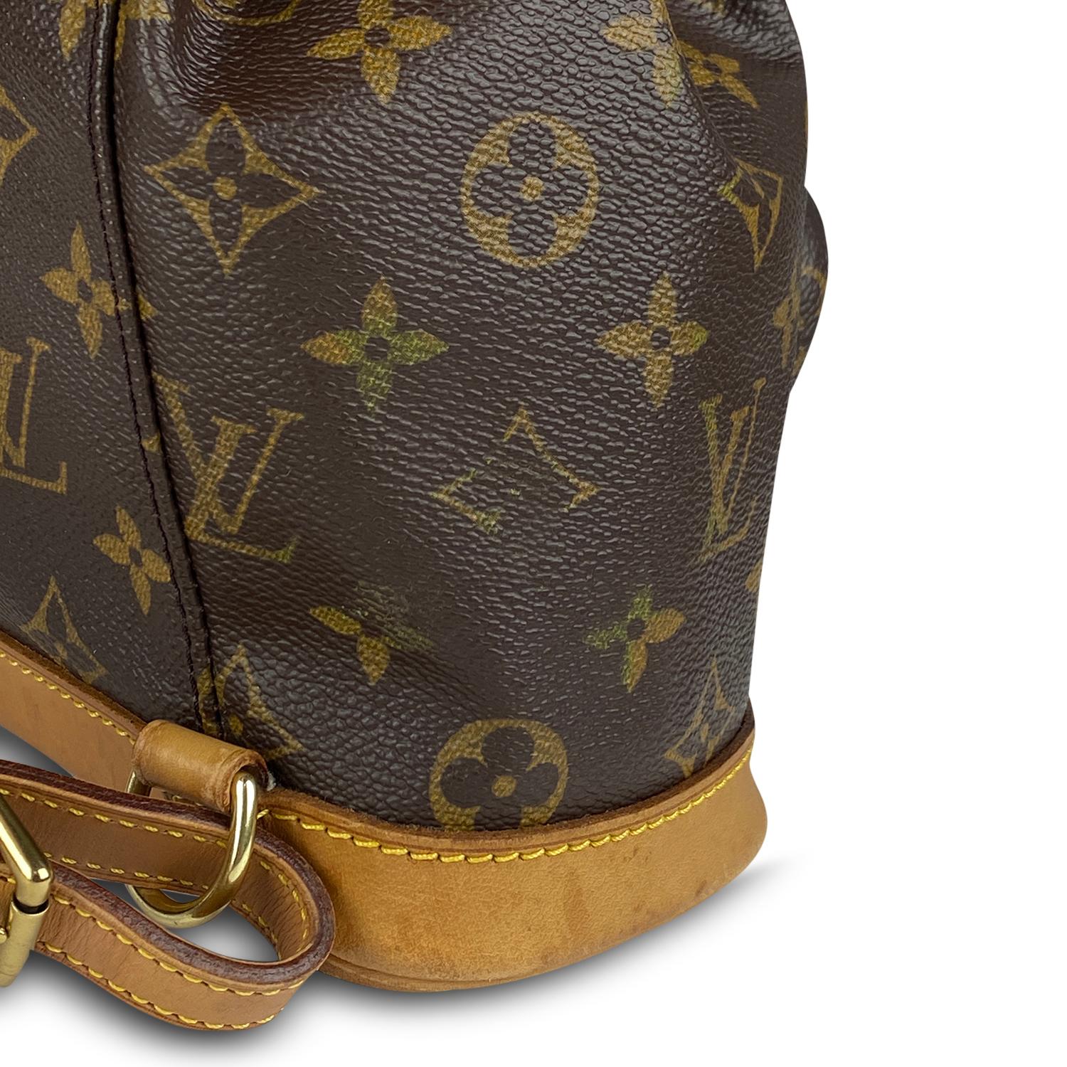 Louis Vuitton Monogram Montsouris PM Backpack 2