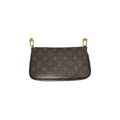 Louis Vuitton Monogram Multi-Pochette Accessories