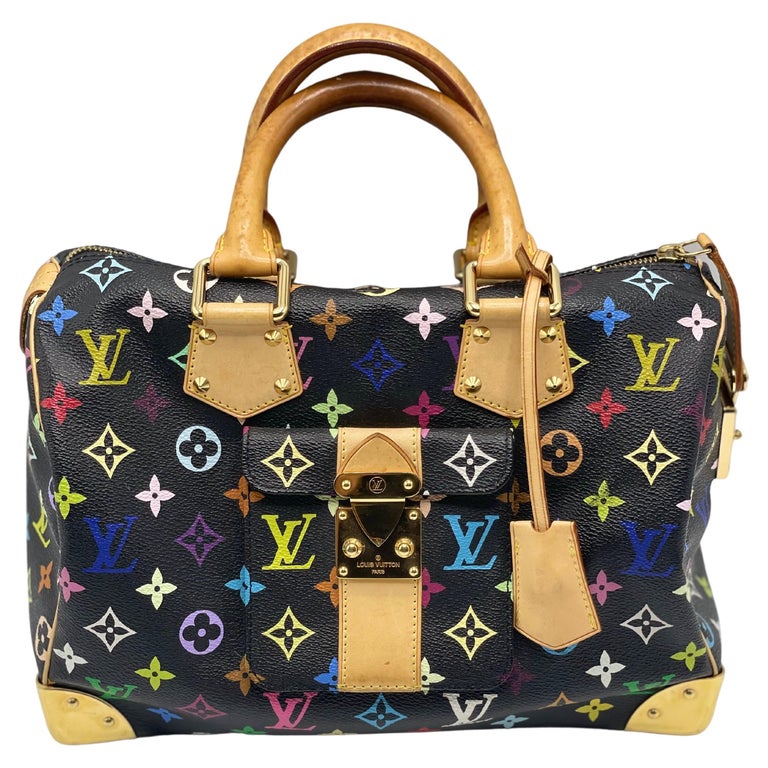 Louis Vuitton - Speedy 30 Multicolor Shoulder bag - Catawiki