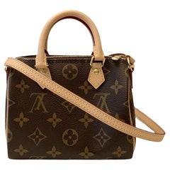 Louis Vuitton Monogram Nano Speedy Bag
