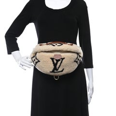 Louis Vuitton Monogram Neutrals Shearling Teddy Bum Bag