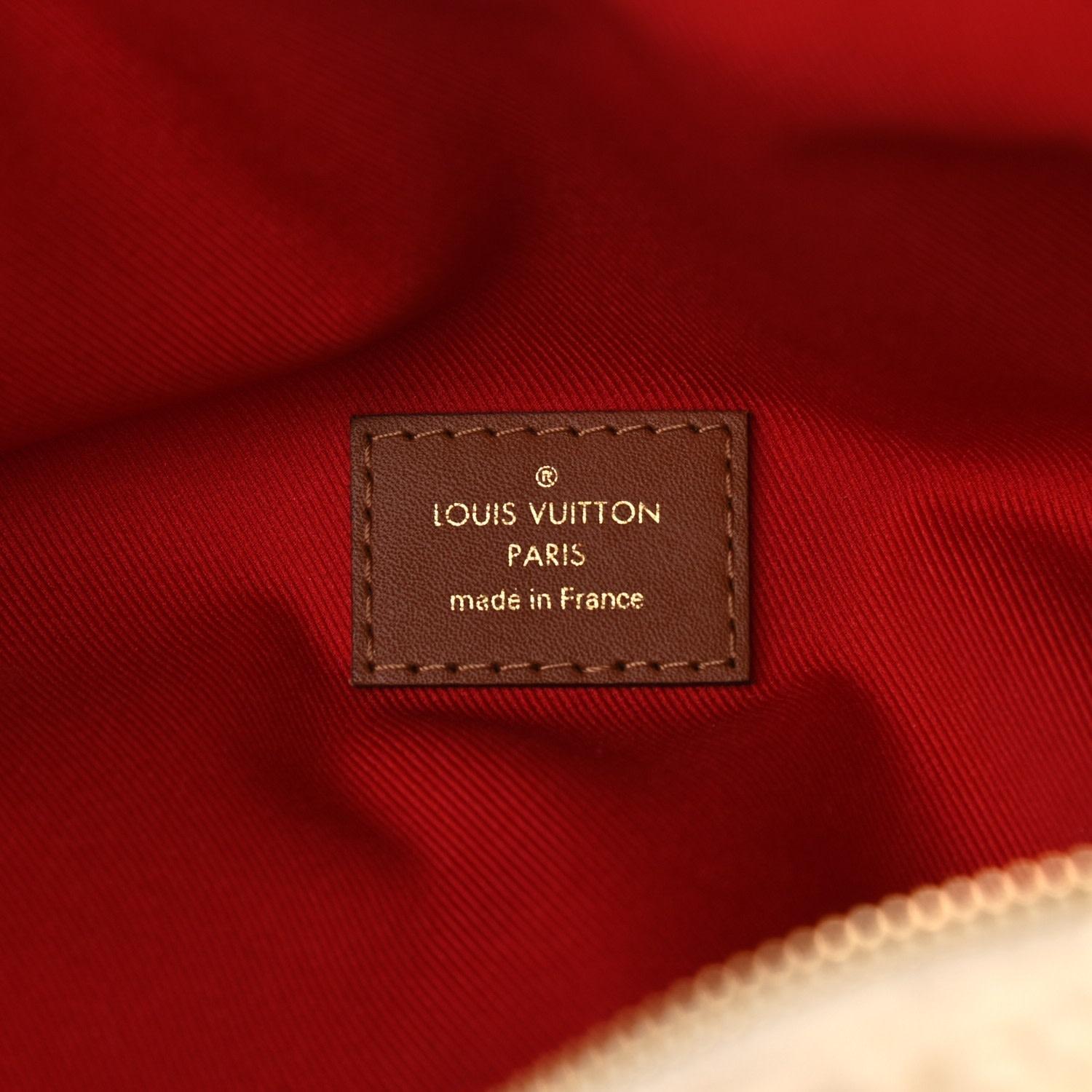 Louis Vuitton Monogram Neutrals Shearling Teddy Bum Bag For Sale 3