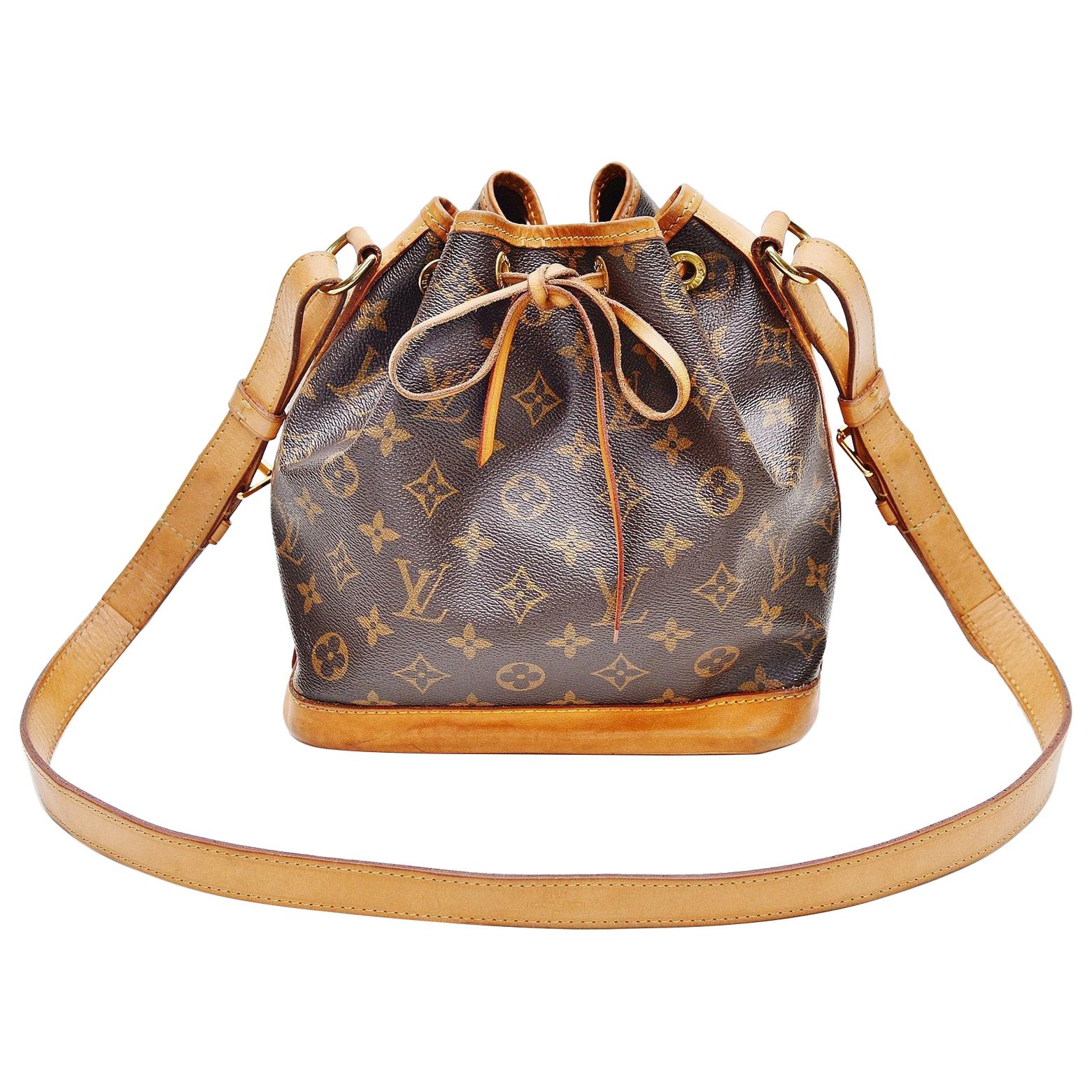 Louis Vuitton Noe BB Bag Review - Better Than the Chanel Gabrielle