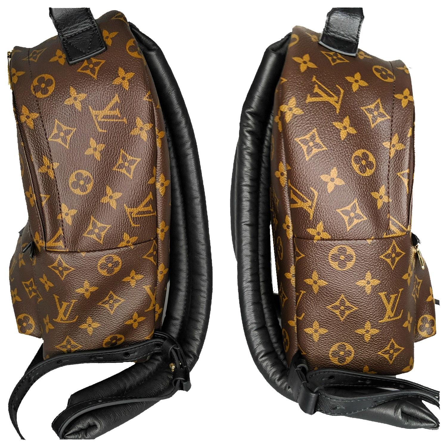 Louis Vuitton Monogram Palm Springs Backpack PM For Sale at 1stDibs