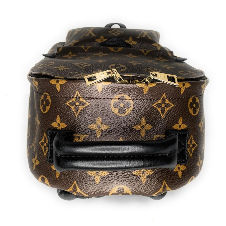 Louis Monogram Palm Backpack PM For Sale at